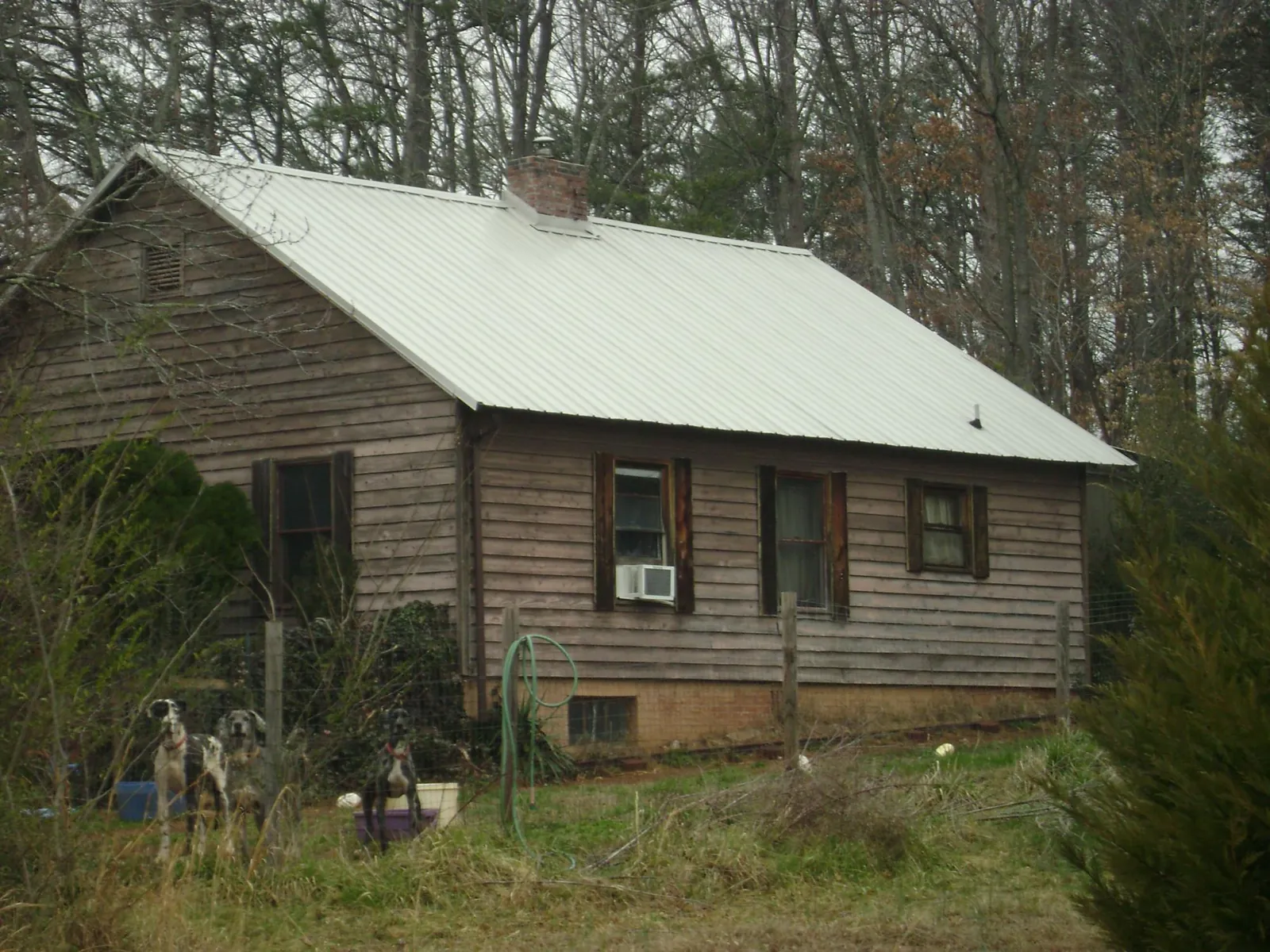 White metal roof on an old wood sided farmhouse, from a Asphalt Shingle Roof Repair job in Bruin